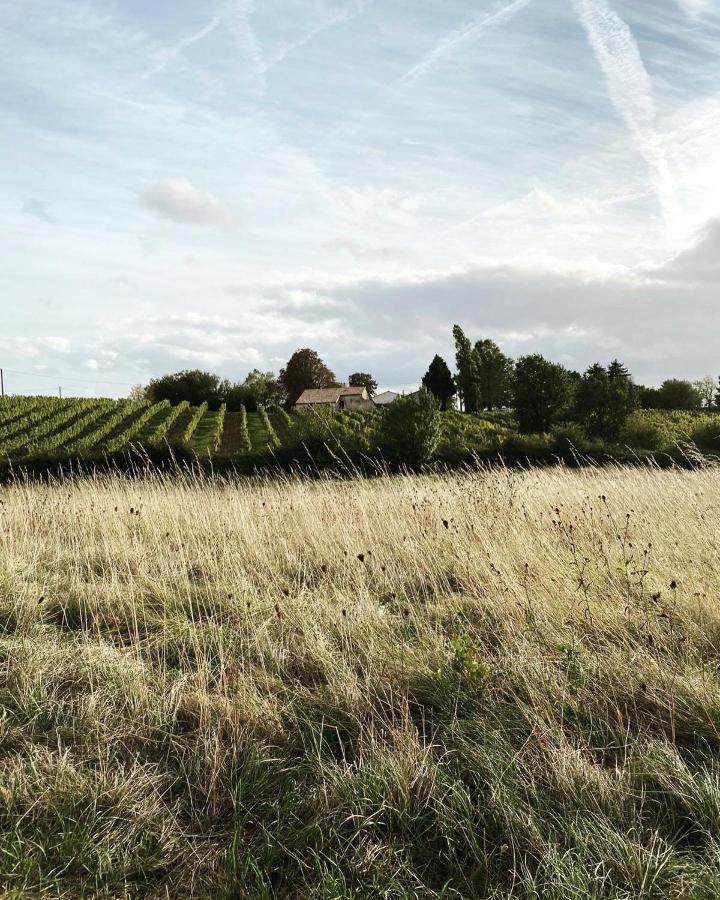 Chateau Le Repos Rouffignac-de-Sigoules Kültér fotó
